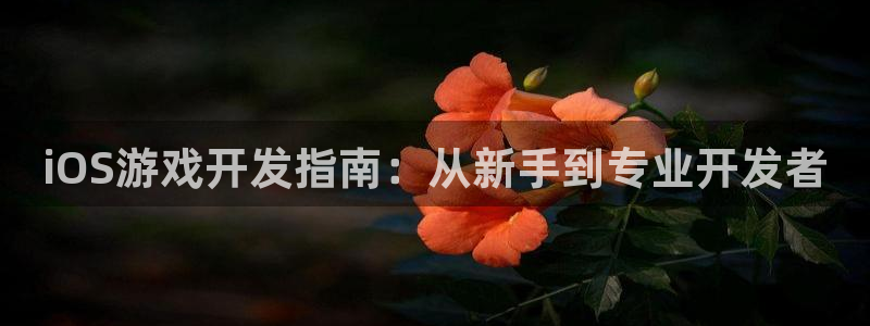 沐鸣2官网