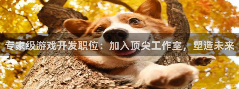 沐鸣娱乐2的分分彩