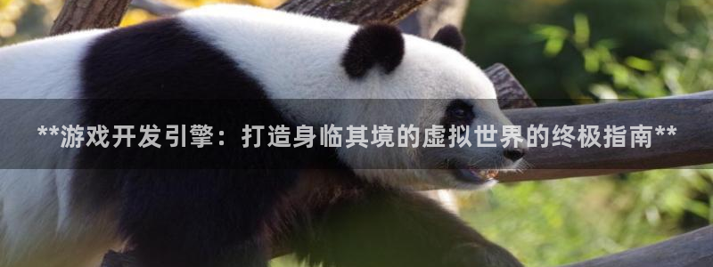 沐鸣2代理官网
