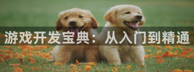 沐鸣2官网网址