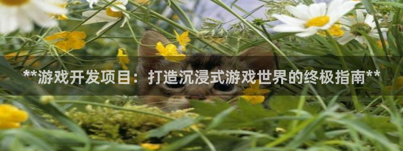 沐鸣2登陆
