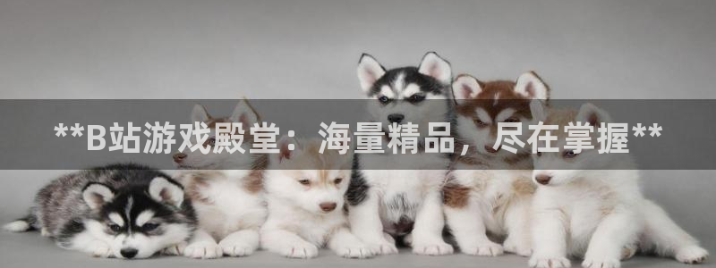 沐鸣2代理酋27337