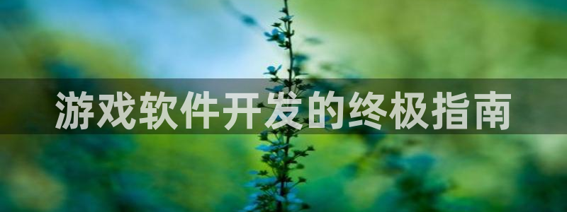 沐鸣娱乐2代理