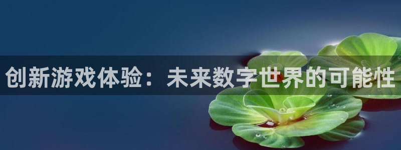 沐鸣平台由44262：创新游戏体验：未来数字世界的可能性