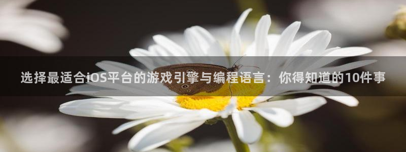 沐鸣2注册丘27337：选择最适合iOS平台的游戏引擎与编程语言：你得知道的10件事