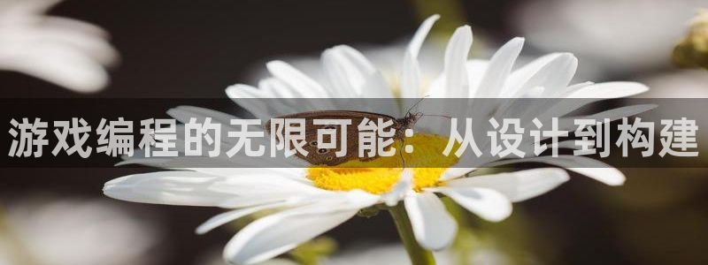 沐鸣2娱乐注册登录平台：游戏编程的无限可能：从设计到构建