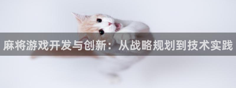 沐鸣娱乐2输钱了：麻将游戏开发与创新：从战略规划到技术实践