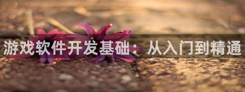 沐鸣2手机网页版：游戏软件开发基础：从入门到精通