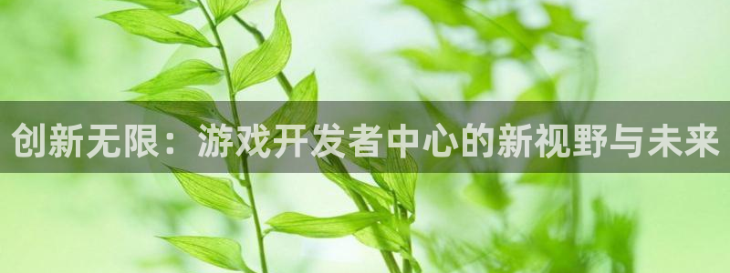 沐鸣娱乐2输钱了：创新无限：游戏开发者中心的新视野与未来