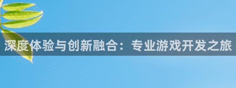 沐鸣2注册平台：深度体验与创新融合：专业游戏开发之旅