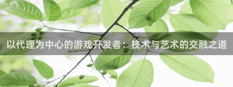 沐鸣娱乐2黑客户吗：以代理为中心的游戏开发者：技术与艺术的交融之道