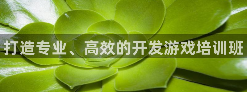 沐鸣2客服：打造专业、高效的开发游戏培训班