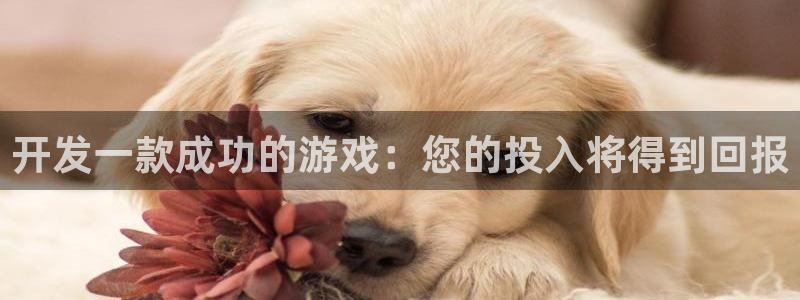 沐鸣2登录官方登录网站：开发一款成功的游戏：您的投入将得到回报