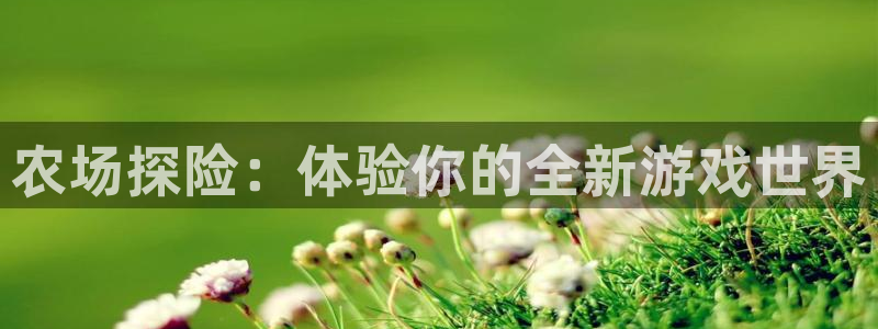 沐鸣2平台主管：农场探险：体验你的全新游戏世界