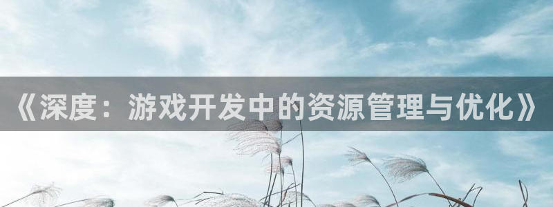 沐鸣娱乐2不能注册：《深度：游戏开发中的资源管理与优化》