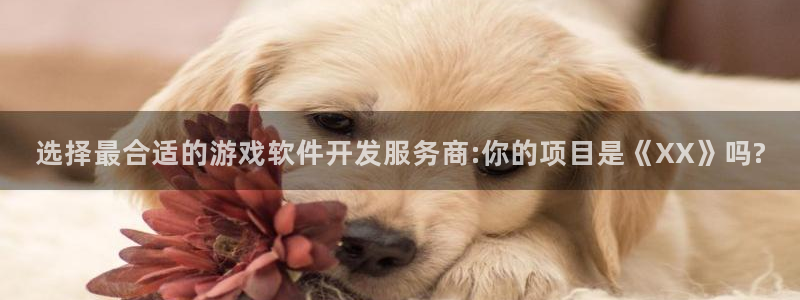 沐鸣娱乐2不能注册：选择最合适的游戏软件开发服务商:你的项目是《XX》吗?