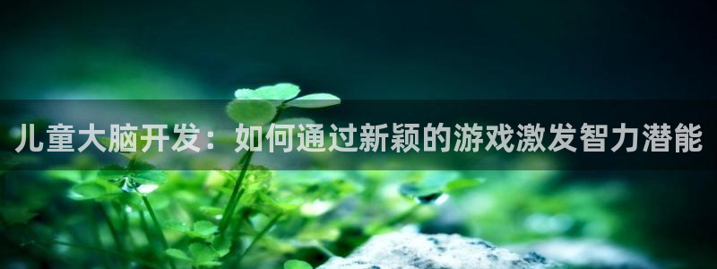 沐鸣2首页登录：儿童大脑开发：如何通过新颖的游戏激发智力潜能