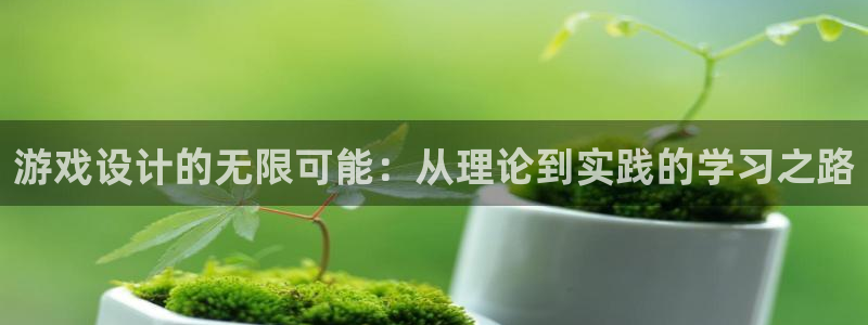 沐鸣娱乐2电脑版：游戏设计的无限可能：从理论到实践的学习之路