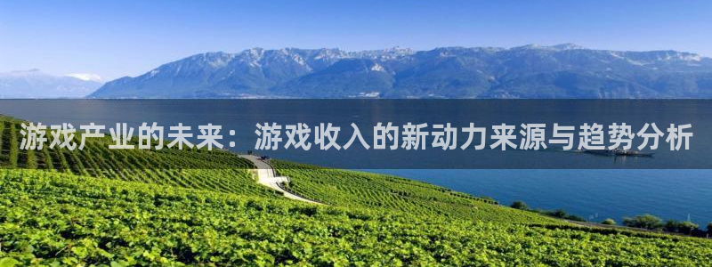沐鸣2注册地址：游戏产业的未来：游戏收入的新动力来源与趋势分析