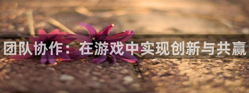 沐鸣娱乐2多彩平台