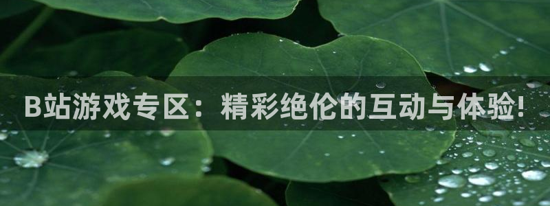 沐鸣娱乐2官方网站
