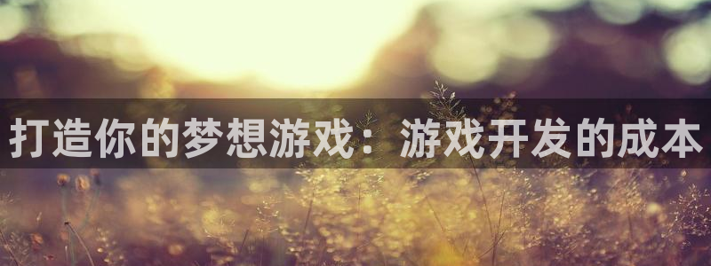 沐鸣娱乐2输钱了：打造你的梦想游戏：游戏开发的成本