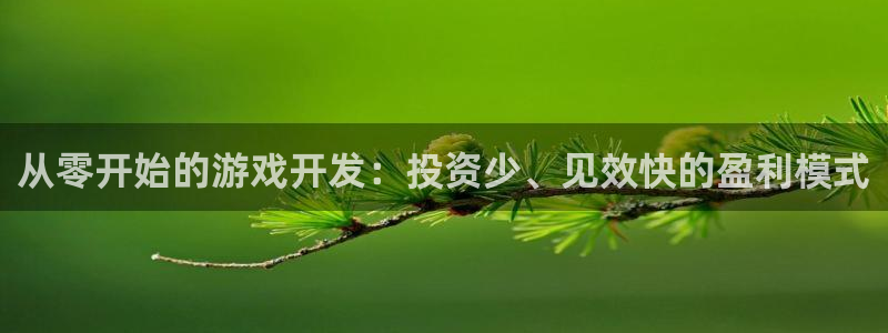 沐鸣娱乐2官方网站：从零开始的游戏开发：投资少、见效快的盈利模式