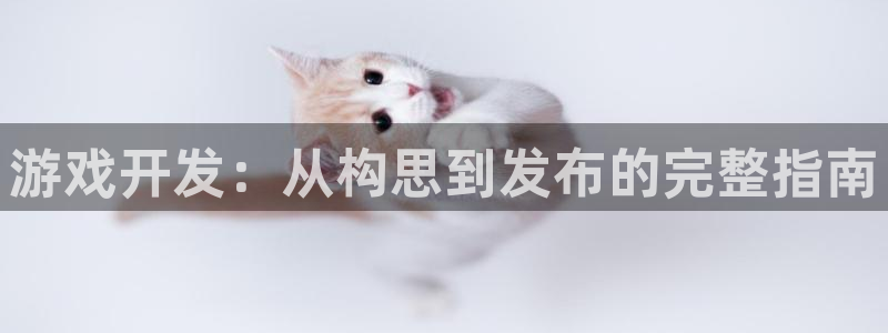 沐鸣2娱乐平台登录客服：游戏开发：从构思到发布的完整指南