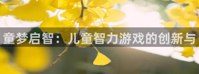 沐鸣2娱乐平台登录：童梦启智：儿童智力游戏的创新与